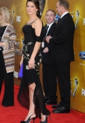 sandra bullock alexander mcqueen naacp